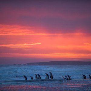 Meet your Posher, Swetha